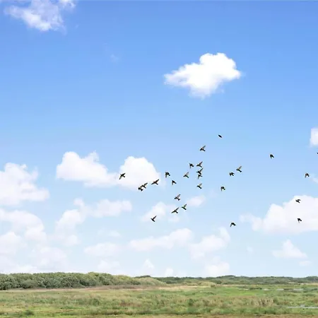 C11116-hemmet-horsfold-41 Hemmet