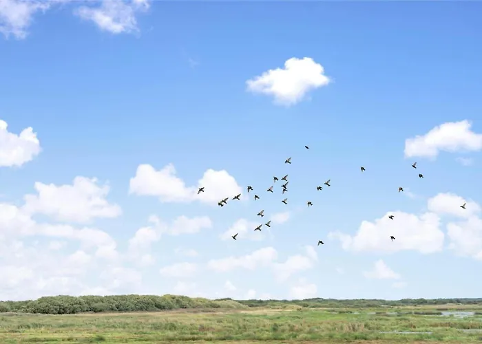 C11116-hemmet-horsfold-41 Hemmet